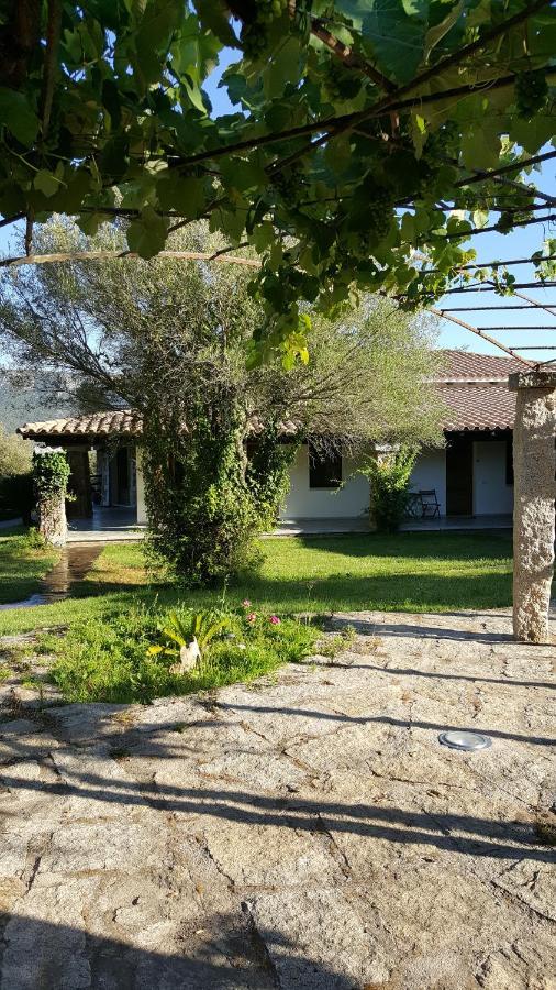 Agriturismo Desole Monti Exterior foto